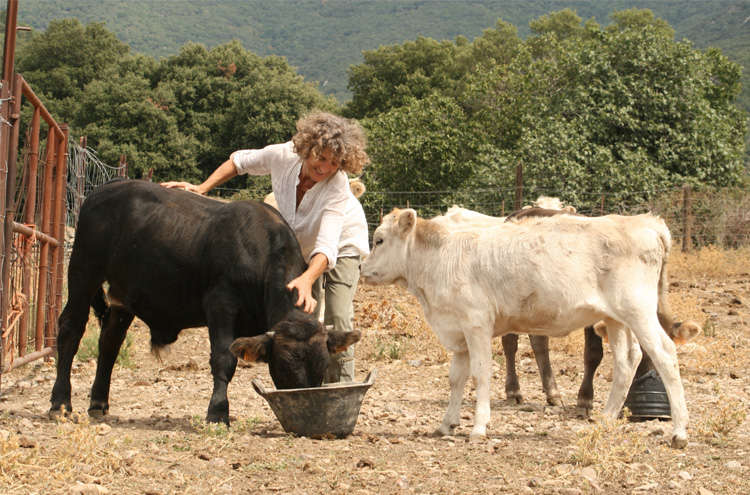 imatge Banyetes amb la seva “mare” adoptiva rebent un massatge regenerador