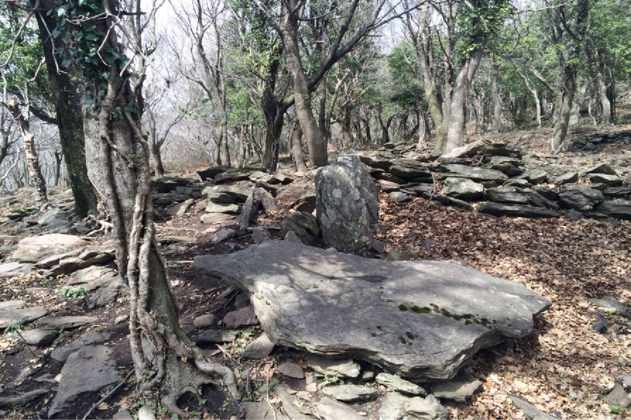 imatge restes arqueològiques a la vall de l'Albera