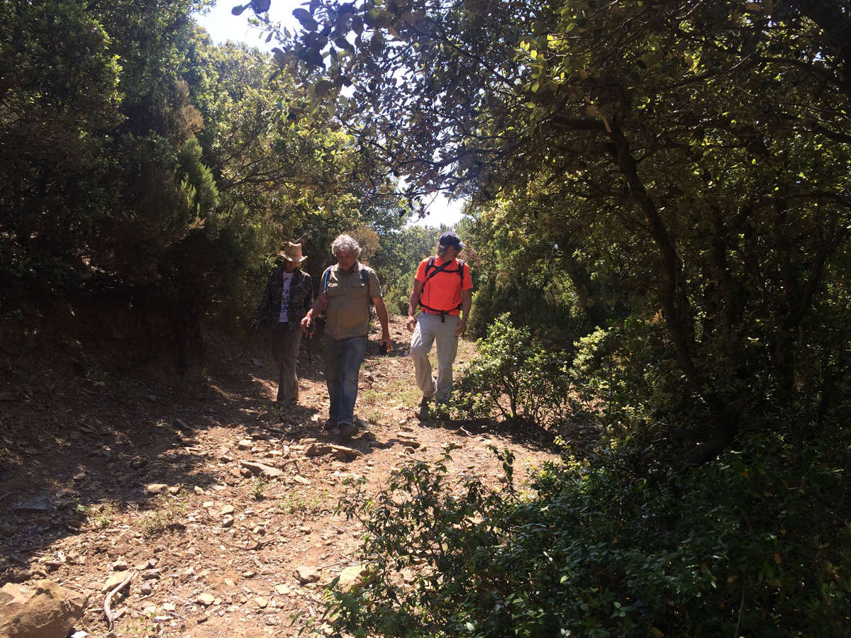 image the rural tourism of Albera, doing trekking