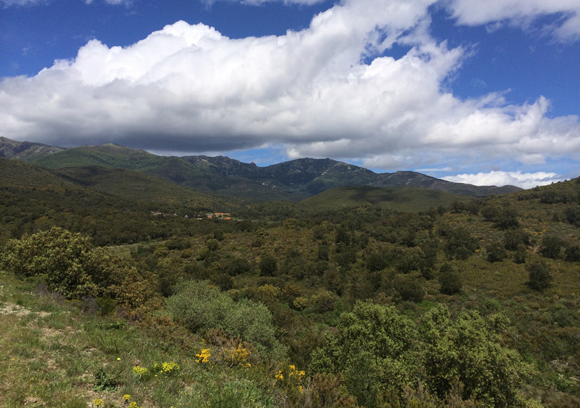 imagen valle de la Albera