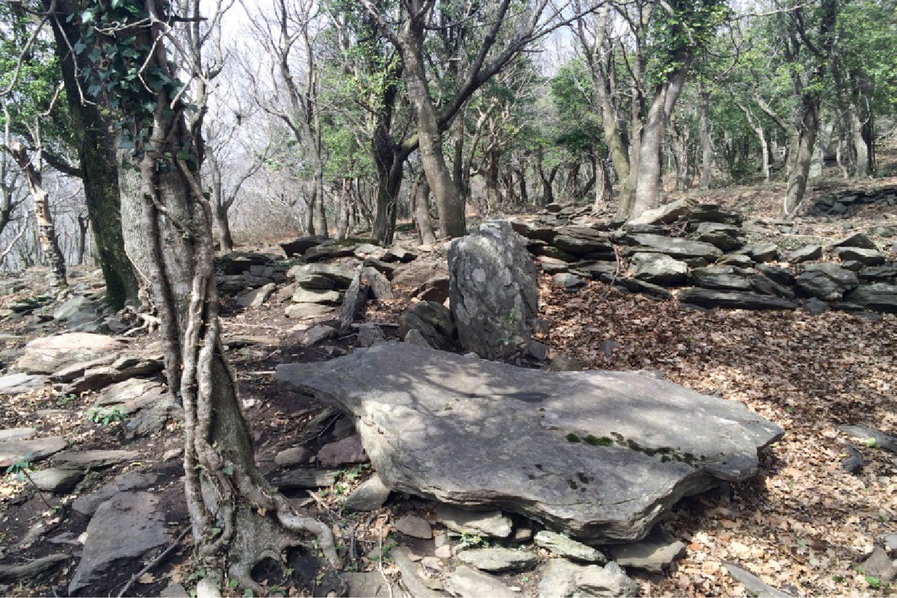 imagen restos arqueológicos en el valle de la Albera