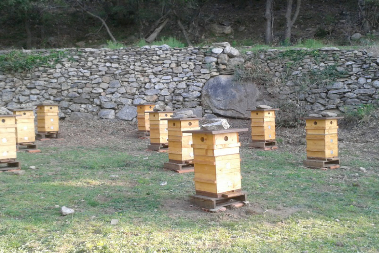 imagen colmenas en el valle de la Albera