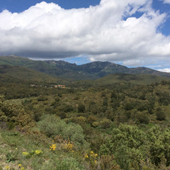 imagen la finca de Baussitges