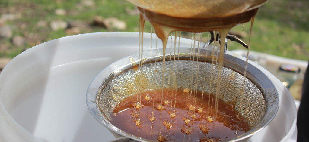 imagen producto abejas de la Albera