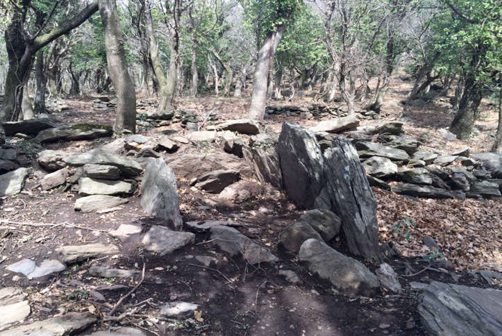 imatge restes arqueològiques a la vall de l'Albera